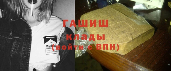 гидра Алексин