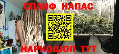 каннабис Усть-Джегута