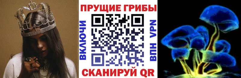 Галлюциногенные грибы прущие грибы  Протвино 