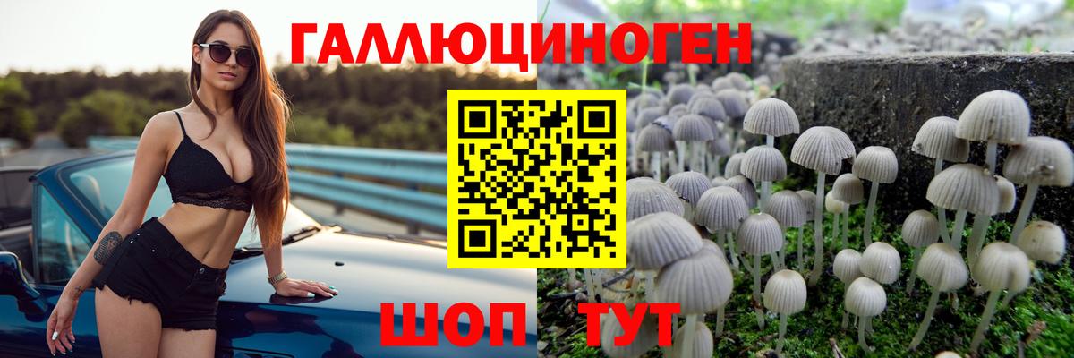 Псилоцибиновые грибы мицелий Протвино
