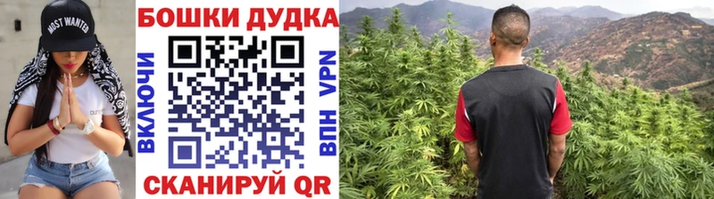 mega вход  Протвино  МАРИХУАНА ГИДРОПОН 